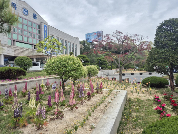 사진6)옥천읍 꽃2