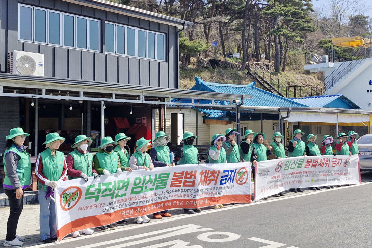 덕적면 새마을부녀회 임산물 불법채취