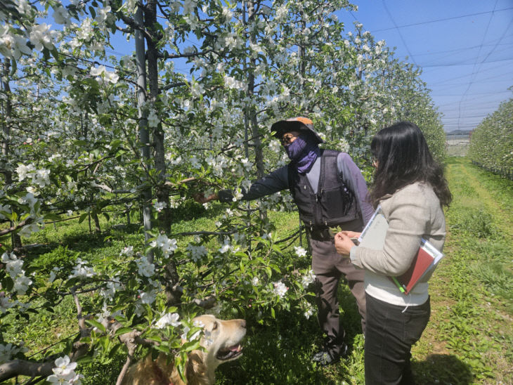 사본 - (사진4)농약안전사용 현장지도