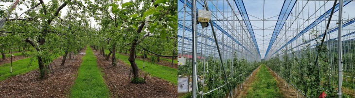 안정성 확보 (1)-스마트과원