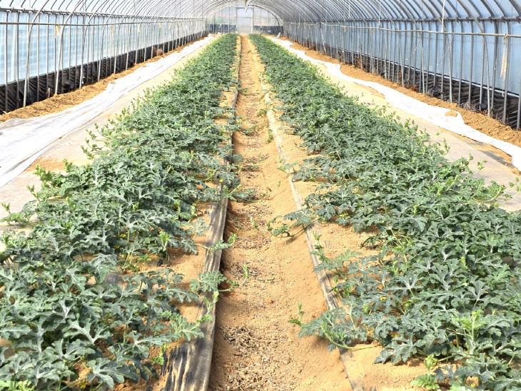 Resized_20260418_085730_253863338088052