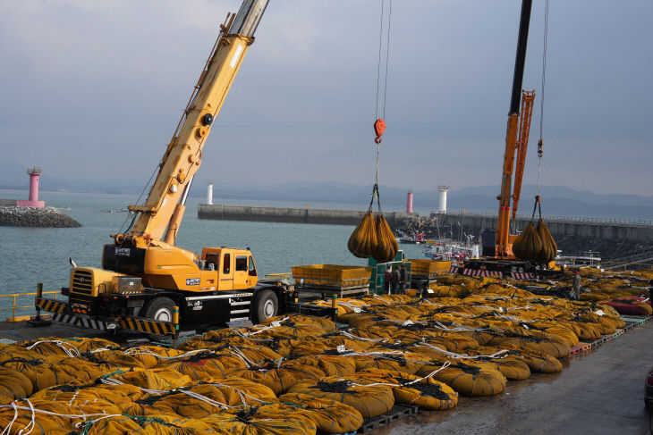 양식장에서 생산된 물김이 서천 마량항에 하역되고 있다