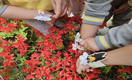 생물다양성교육’ 자료 배부