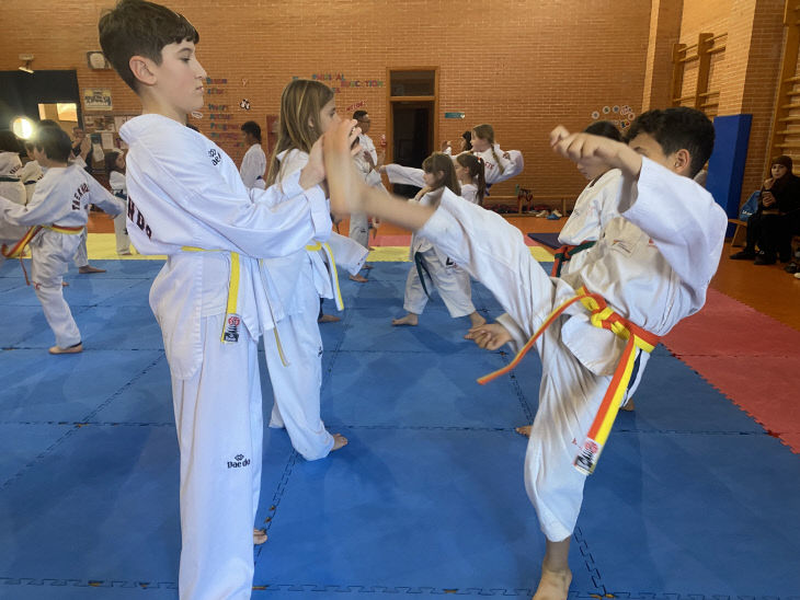 스페인 현지 택견 수련 모습.(사진=충주시 제공)