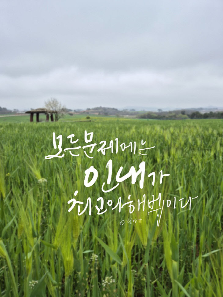 KakaoTalk_20260420_192016072