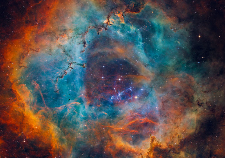 1. 대상_장미의 심장, 황금빛 물결의 파동_김슬우