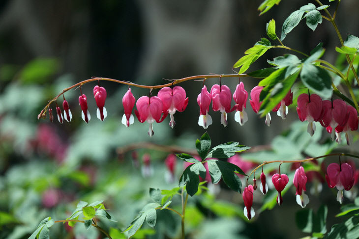 “고즈넉한 한옥의 정취 물씬” (2)