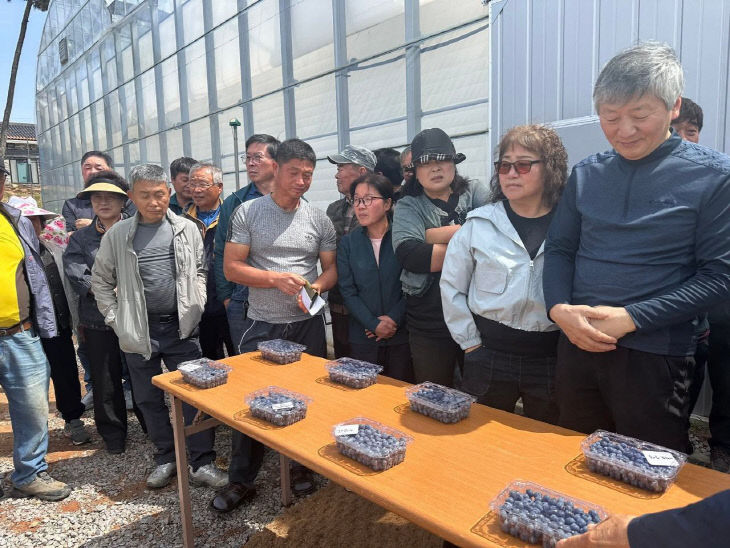 Resized_FB_IMG_1776947198795_360853125261613