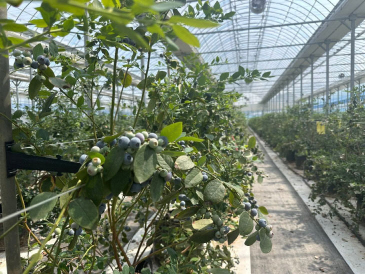 Resized_FB_IMG_1776947189041_360866286992338