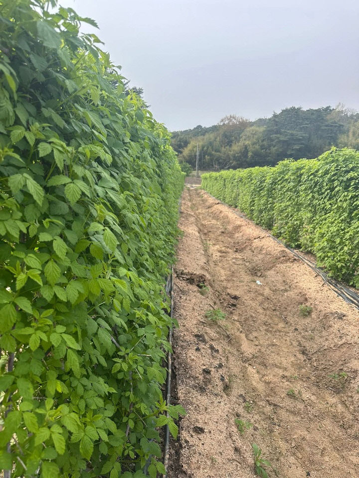 Resized_FB_IMG_1776947184664_360885342269205