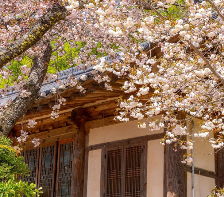 KakaoTalk_20260424_235840538_02