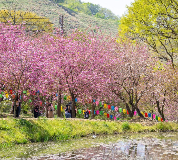 KakaoTalk_20260424_235840538_03