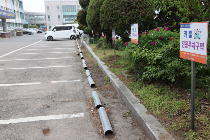 카풀 전용주차구역 사진