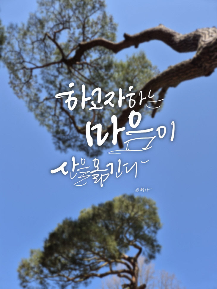 KakaoTalk_20260421_074811464