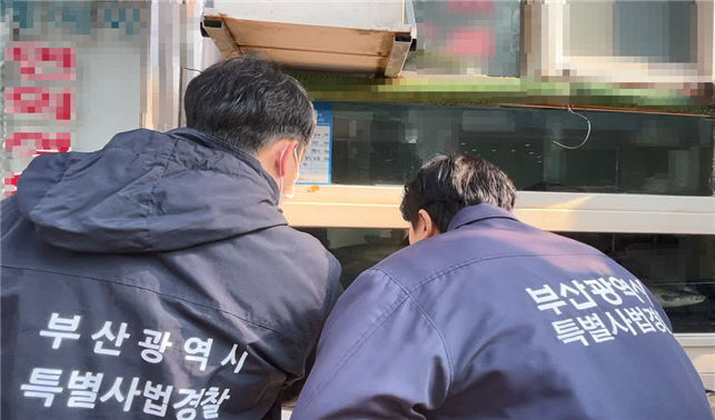 횟집 수산물 원산지 단속