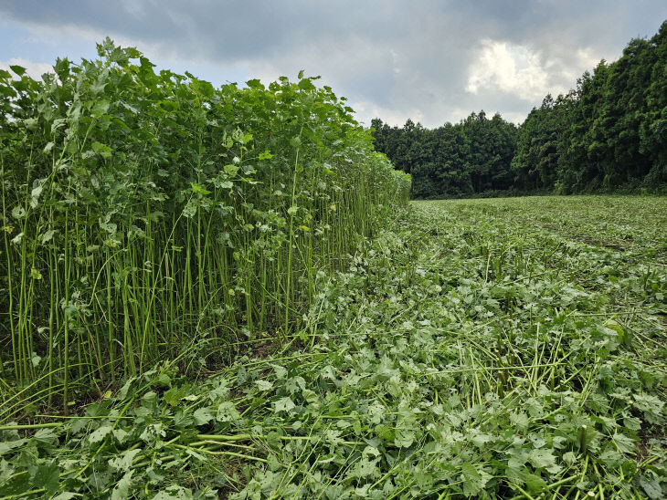 KakaoTalk_20260425_090046364_02