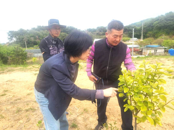 Resized_FB_IMG_1777291900913_486510030711908