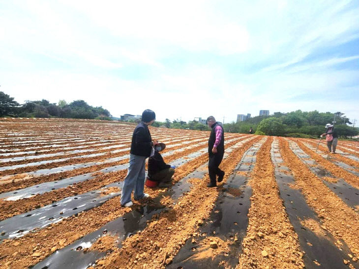 Resized_FB_IMG_1777291885471_486538612475126