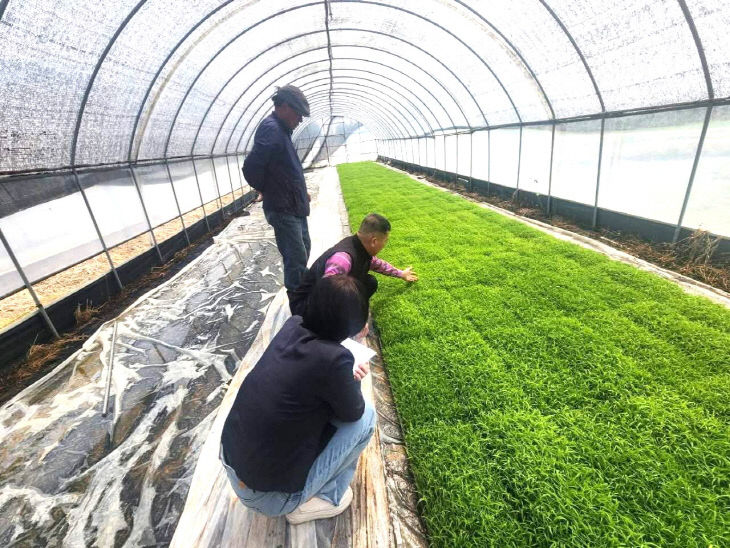 Resized_FB_IMG_1777291872674_486577690419538