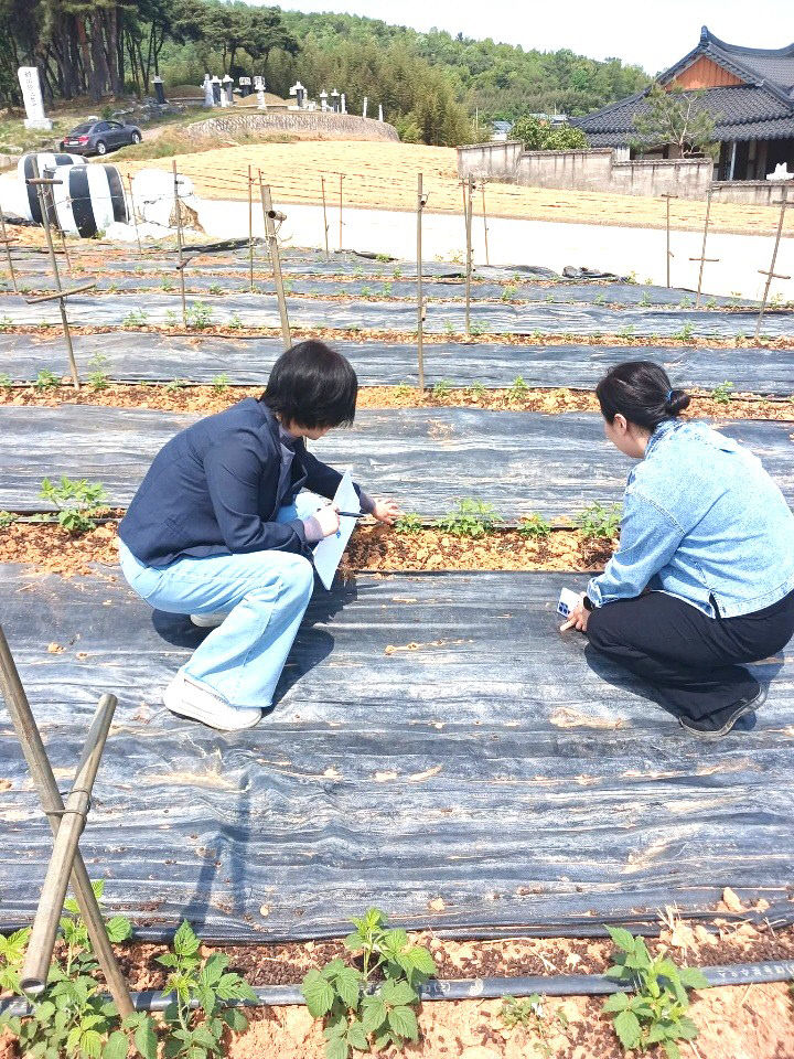 Resized_FB_IMG_1777291911853_486466493954737