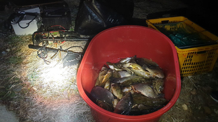 1. 영동군, 쏘가리 금어기 유어