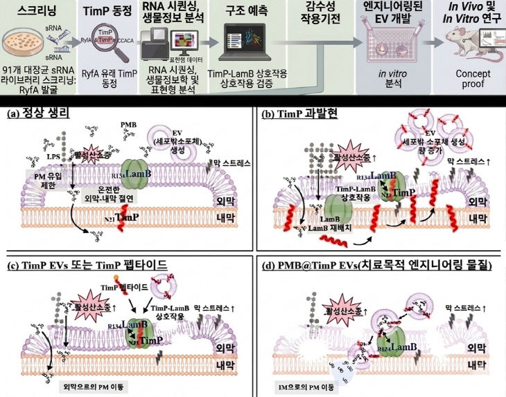 260428-135-(첨부) 부산대 김광선 교수 연구 이미지