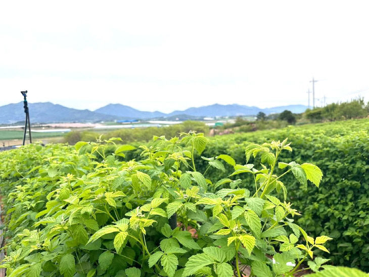 1777386933847_520127861790177