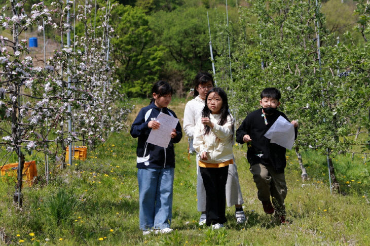 2-4. 대강초 사과꽃체험 사진 4