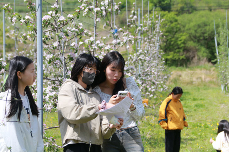 2-2. 대강초 사과꽃체험 사진 2