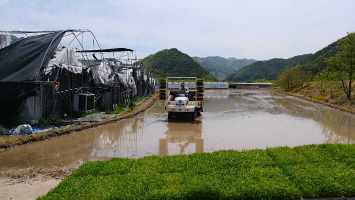 1. 영동군 올해 첫 모