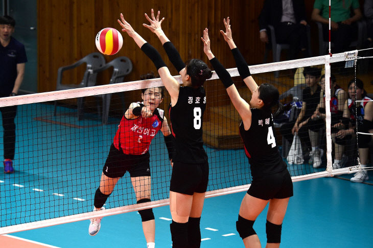 제81회 전국종별배구선수권대회