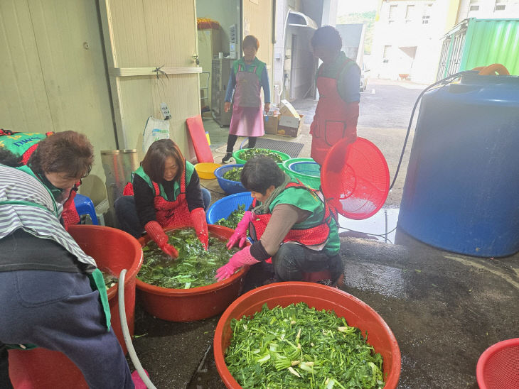 불은면 새마을부녀회, 새콤달콤 얼갈이 김치 나눔