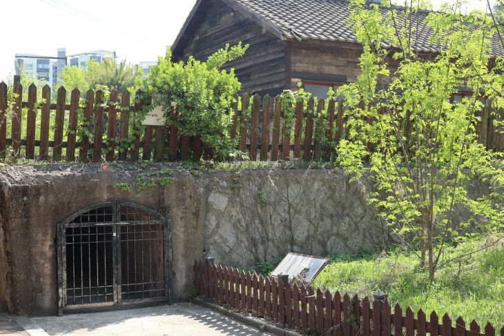 IMG_6848