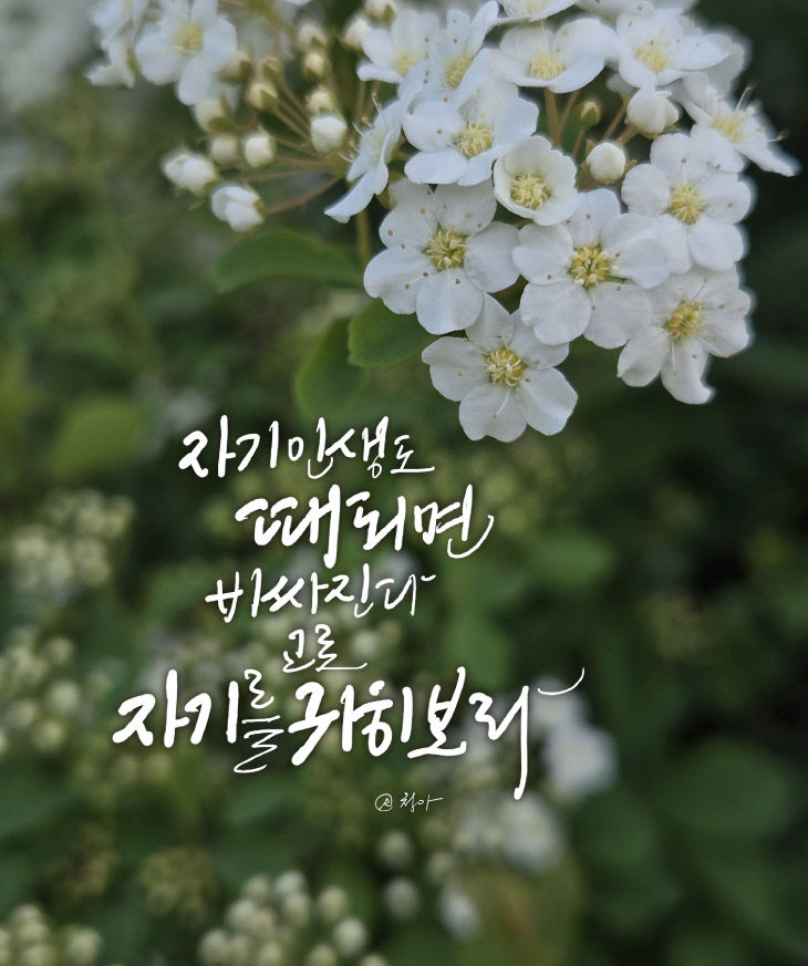 KakaoTalk_20260504_081301077