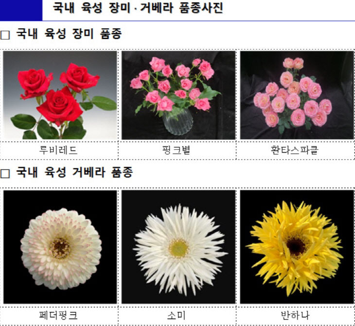 품종