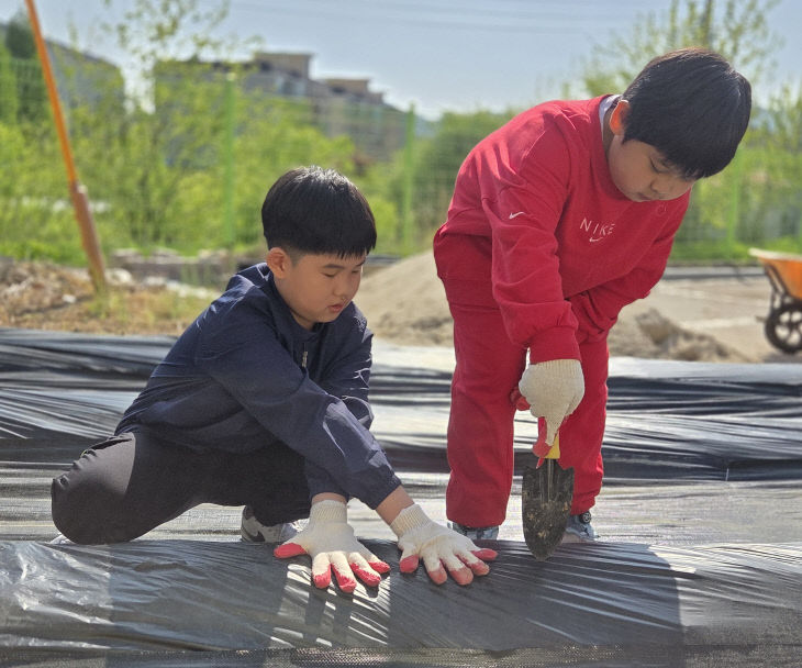 예산 웅산초, 모종도 심고 인절미도 만들고1