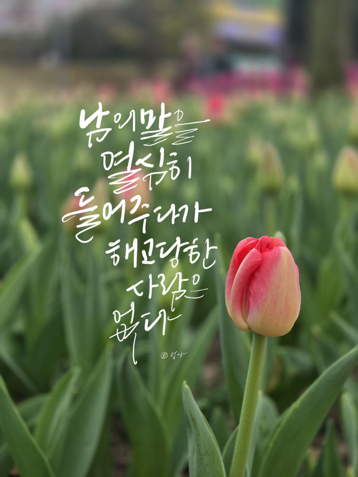 KakaoTalk_20260428_075615869