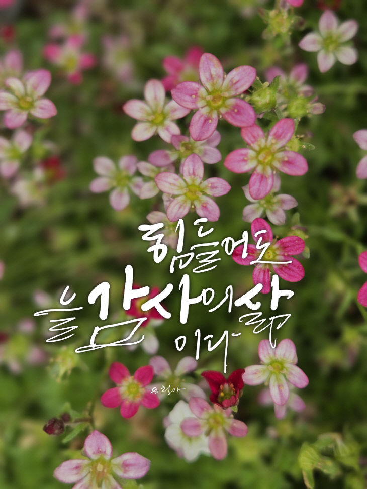 13ㅓㄷ알ㅇㄹ