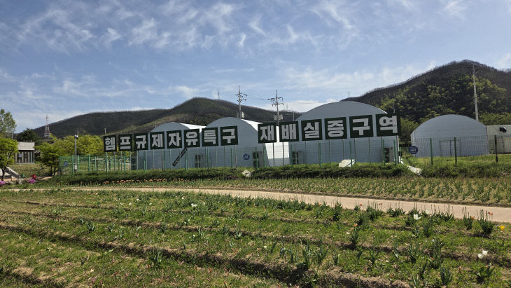 ②경북_산업용_헴프_재배단지