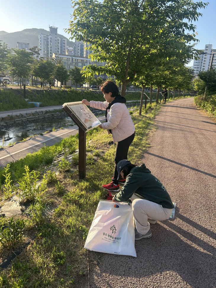 호암물정원 작품 게시 모습.(사진=충주시 제공)