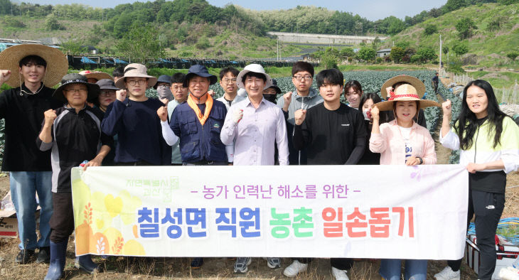 칠성면 브로콜리 밭에서
