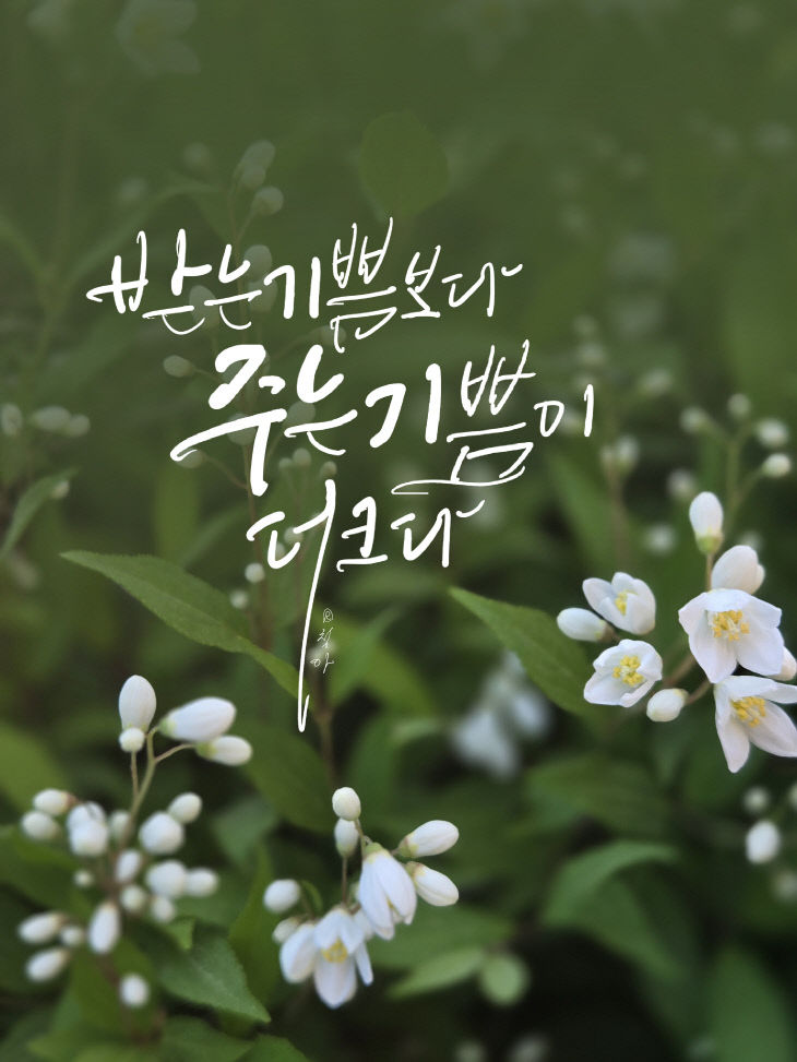 KakaoTalk_20260505_185154162