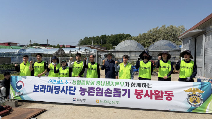 2. 보라미 봉사단 농촌일손돕기 사진