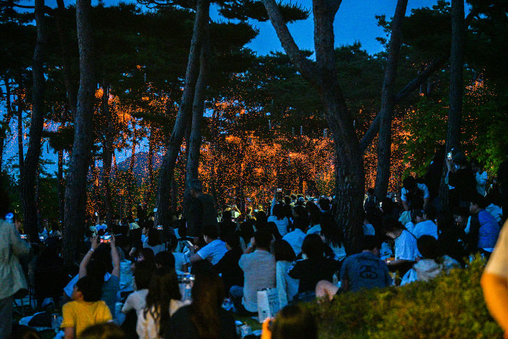 2026_세종낙화축제(관광진흥과)1