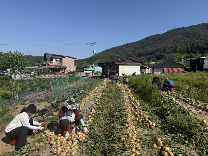 함