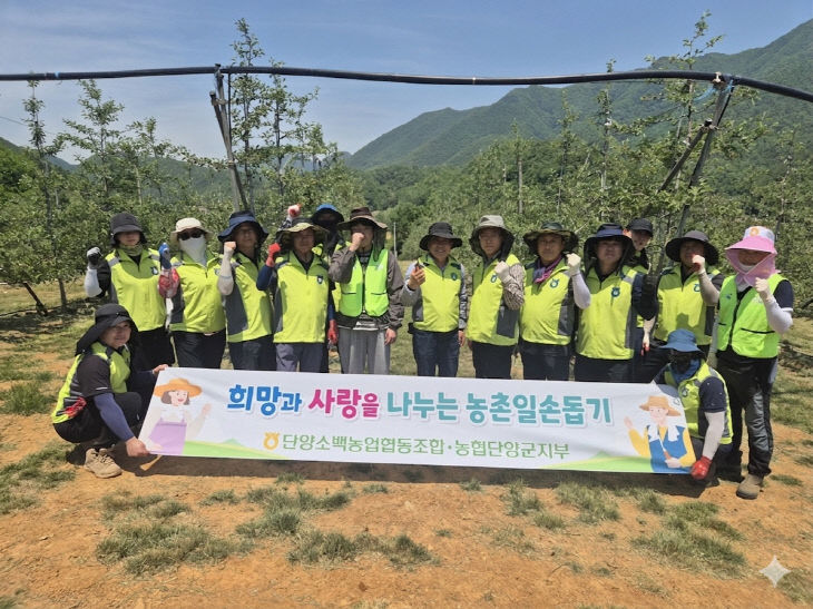 일손돕기 사진 (2)