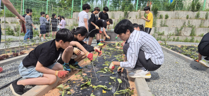 예산 조림초, 흙내음 가득한 텃밭에서 ‘초록빛 꿈’ 심기1
