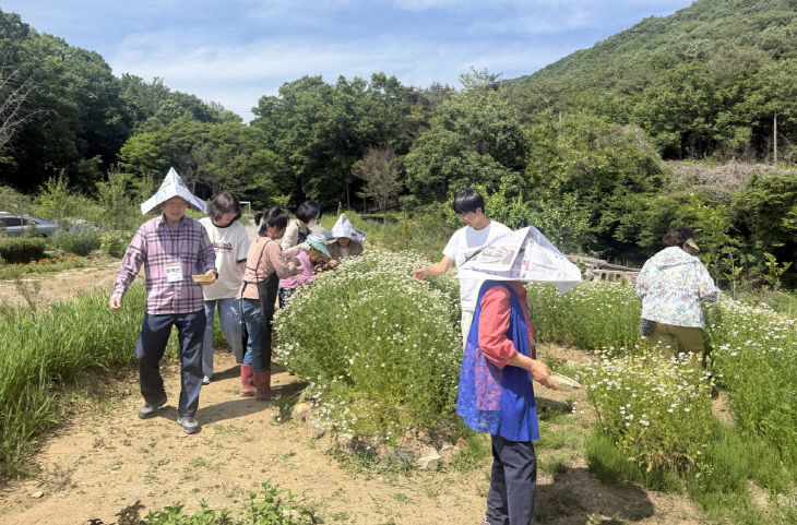 치유농장 협업모델 관련 사진 (3)