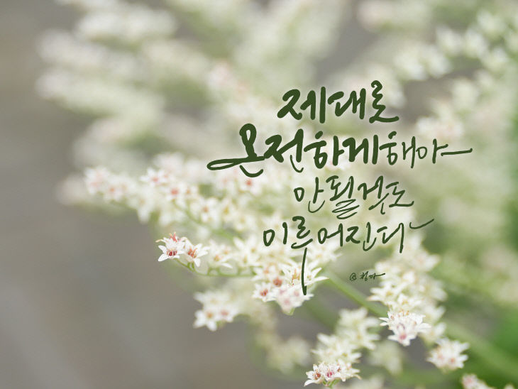 KakaoTalk_20260518_075525450