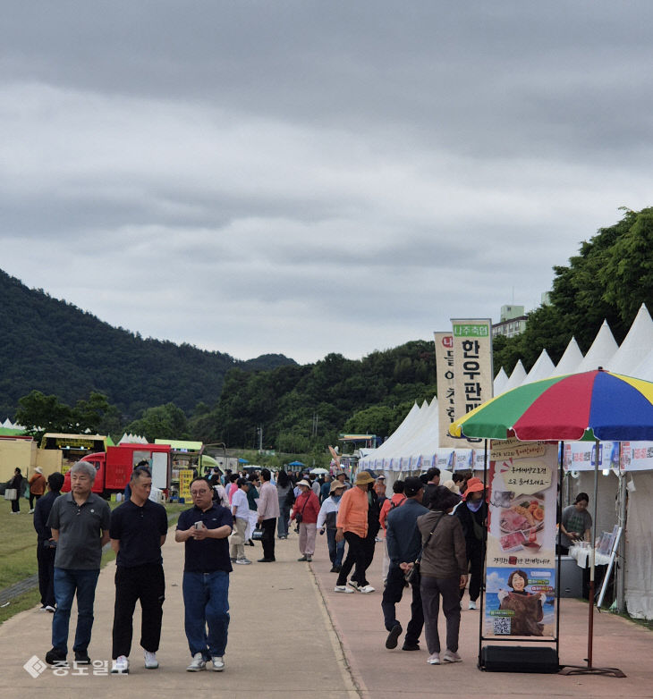 중도
